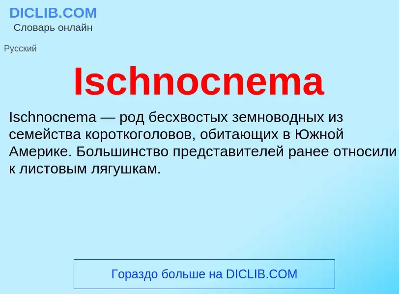 ¿Qué es Ischnocnema? - significado y definición