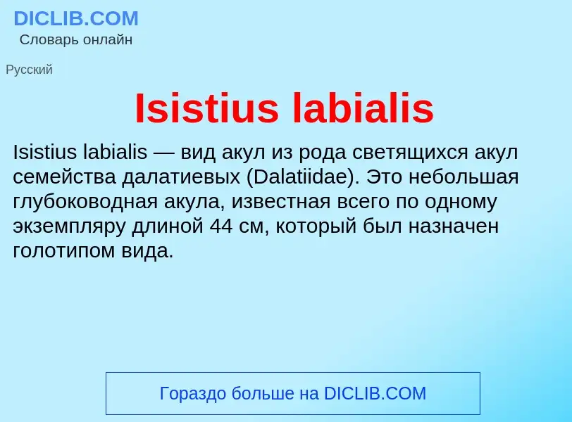 ¿Qué es Isistius labialis? - significado y definición