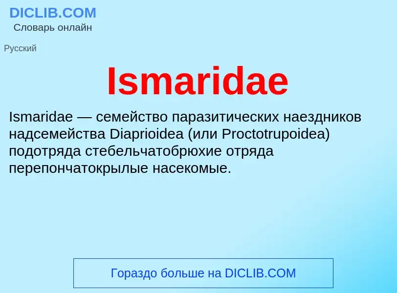 Was ist Ismaridae - Definition