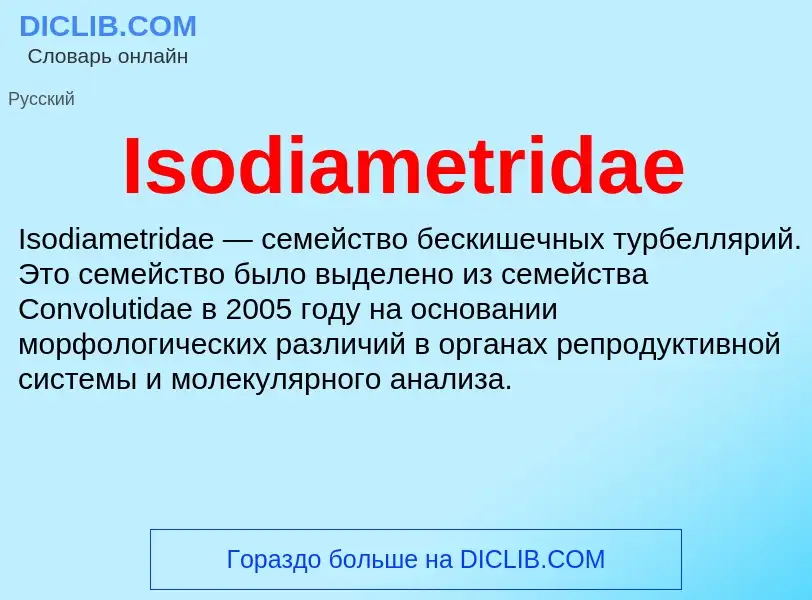 ¿Qué es Isodiametridae? - significado y definición