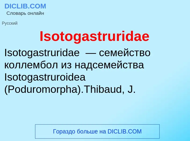 Что такое Isotogastruridae - определение