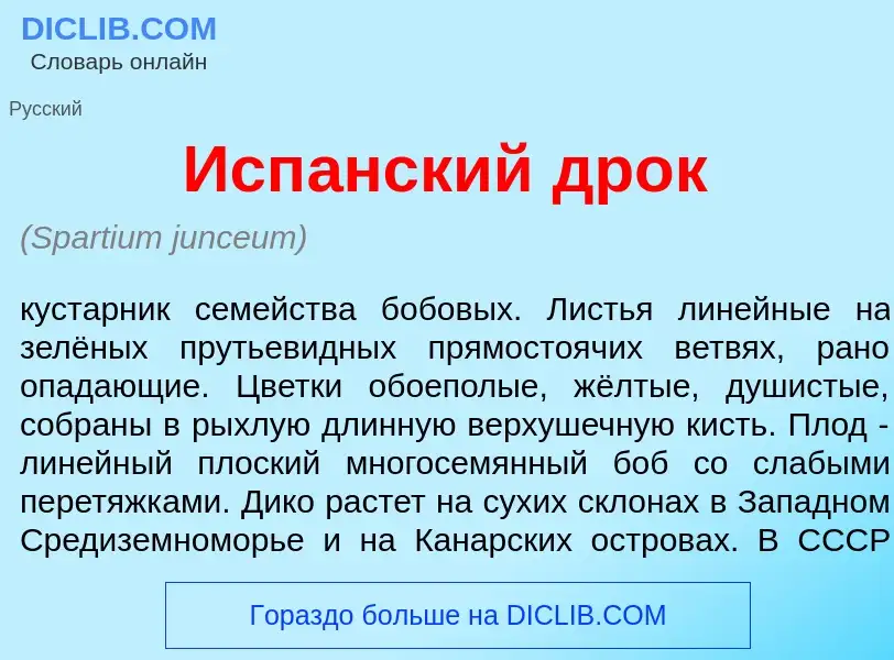 What is Исп<font color="red">а</font>нский дрок - definition