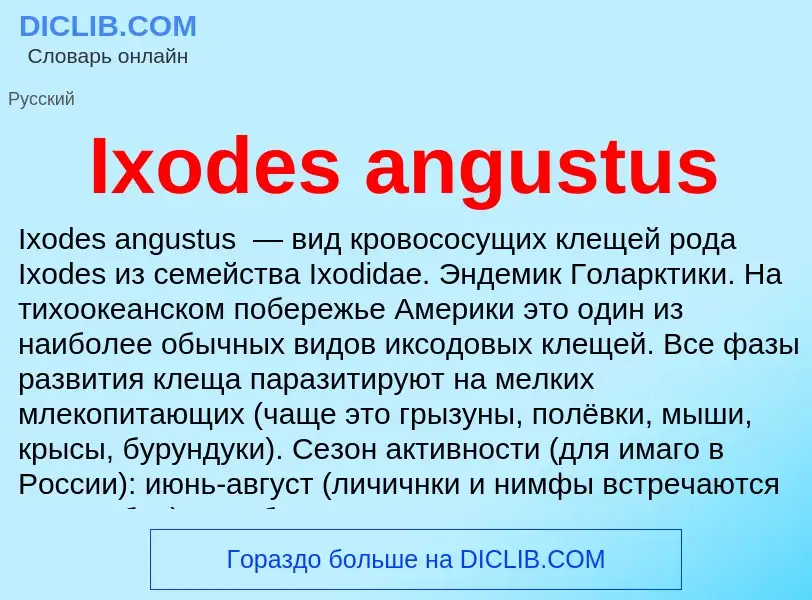 Wat is Ixodes angustus - definition