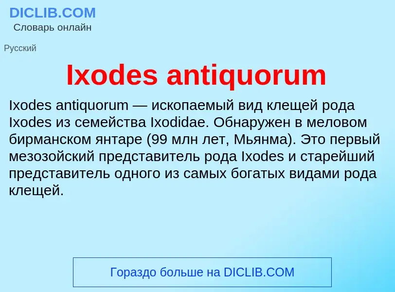 Wat is Ixodes antiquorum - definition