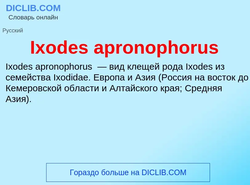 ¿Qué es Ixodes apronophorus? - significado y definición