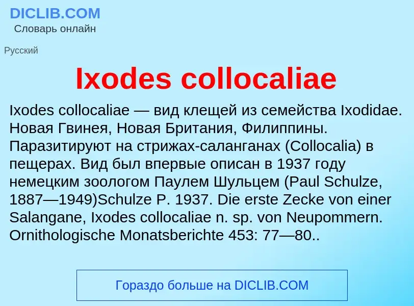 Wat is Ixodes collocaliae - definition