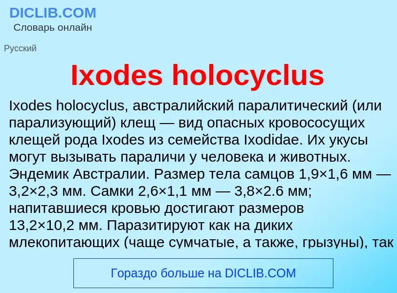 Wat is Ixodes holocyclus - definition