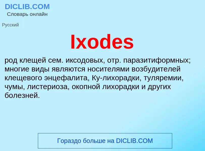 Wat is Ixodes - definition