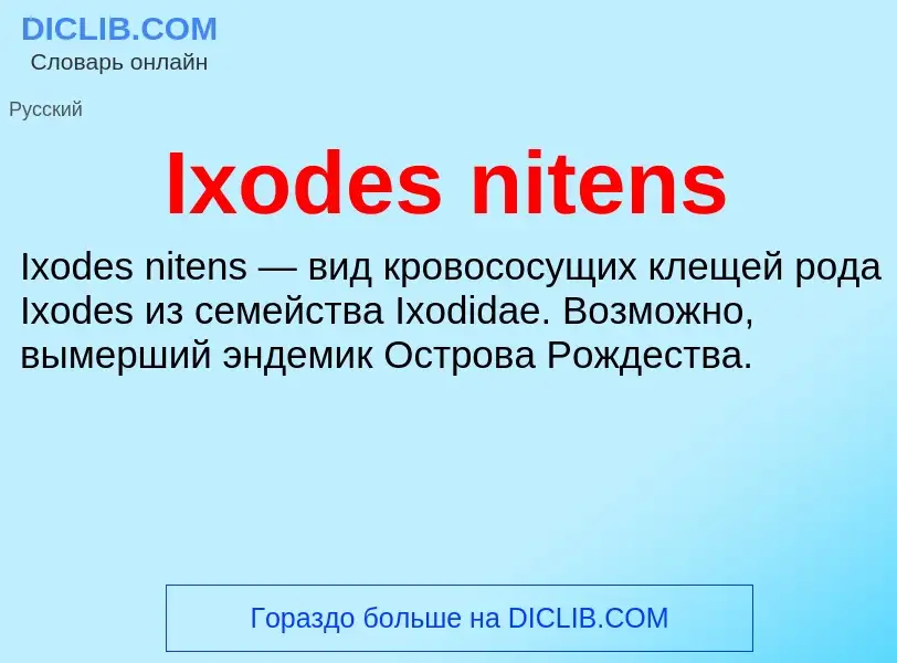 Что такое Ixodes nitens - определение