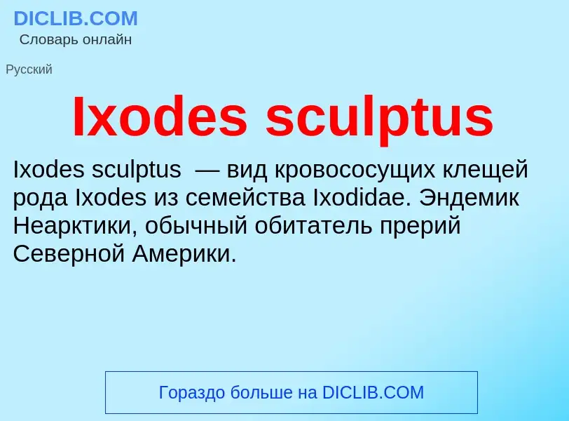 Wat is Ixodes sculptus - definition