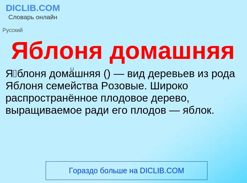 ¿Qué es Яблоня домашняя? - significado y definición