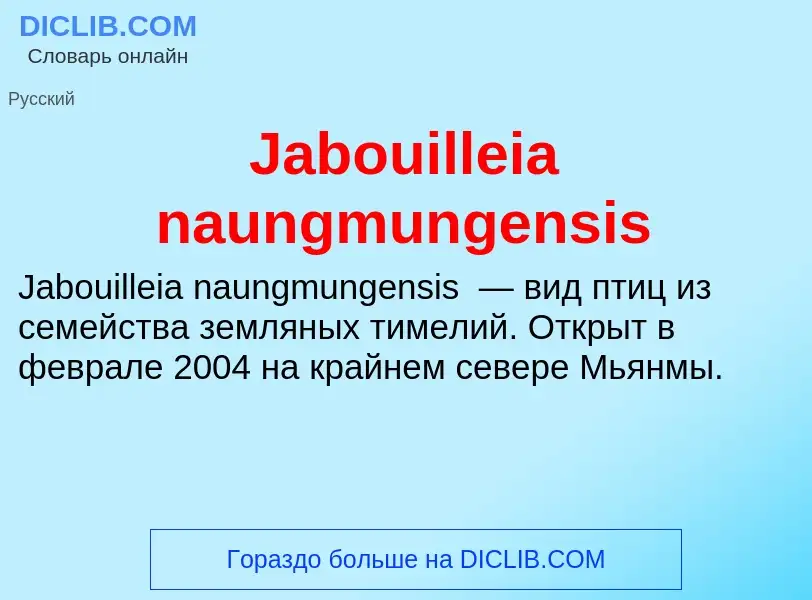 Was ist Jabouilleia naungmungensis - Definition