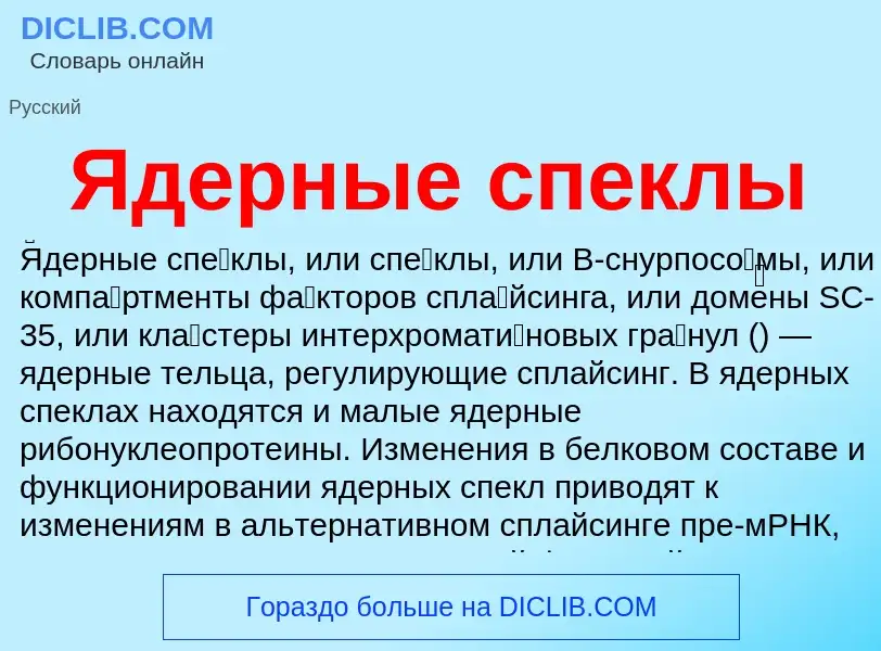 Что такое Ядерные спеклы - определение