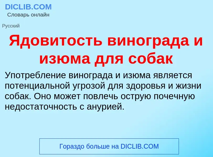 ¿Qué es Ядовитость винограда и изюма для собак? - significado y definición