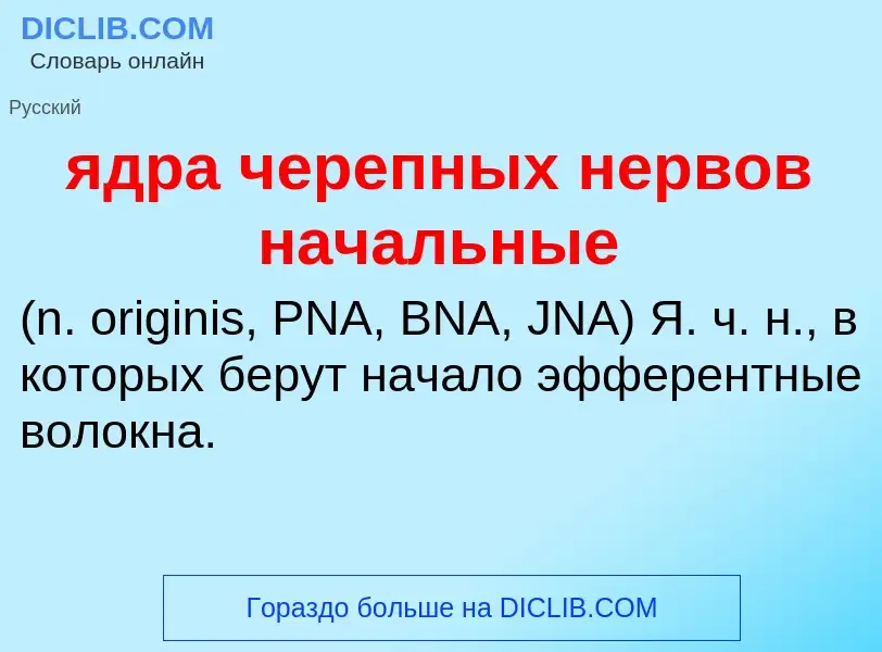 Τι είναι ядра черепных нервов начальные  - ορισμός