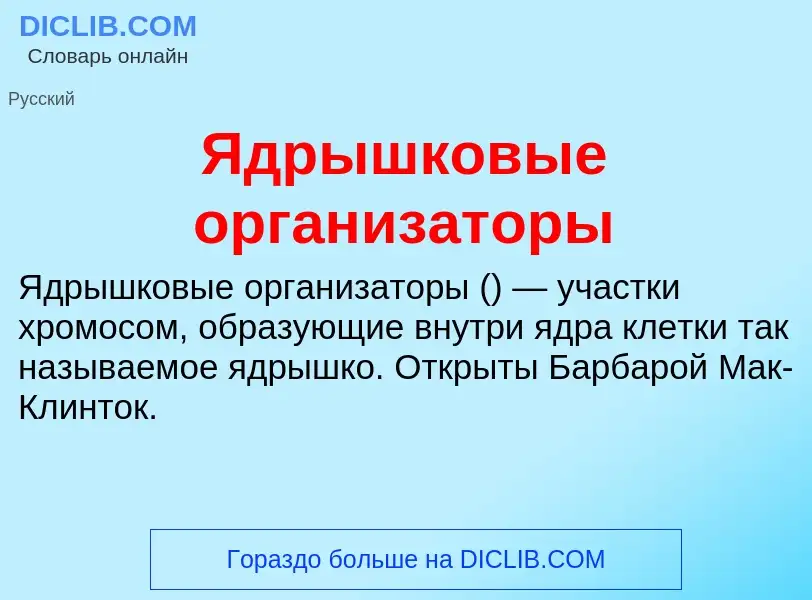 ¿Qué es Ядрышковые организаторы? - significado y definición