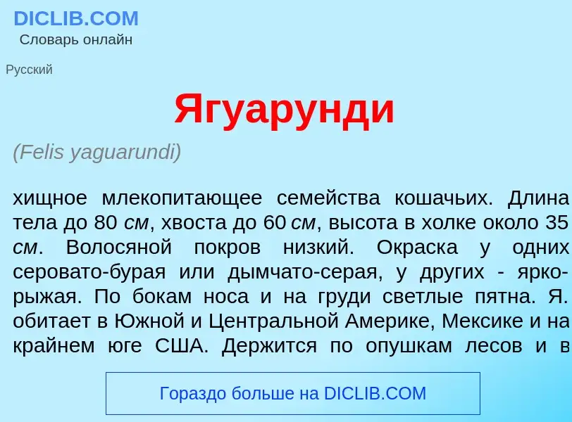 Что такое Ягуар<font color="red">у</font>нди - определение