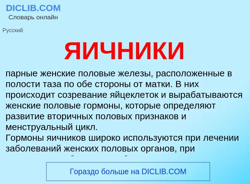 Wat is ЯИЧНИКИ - definition