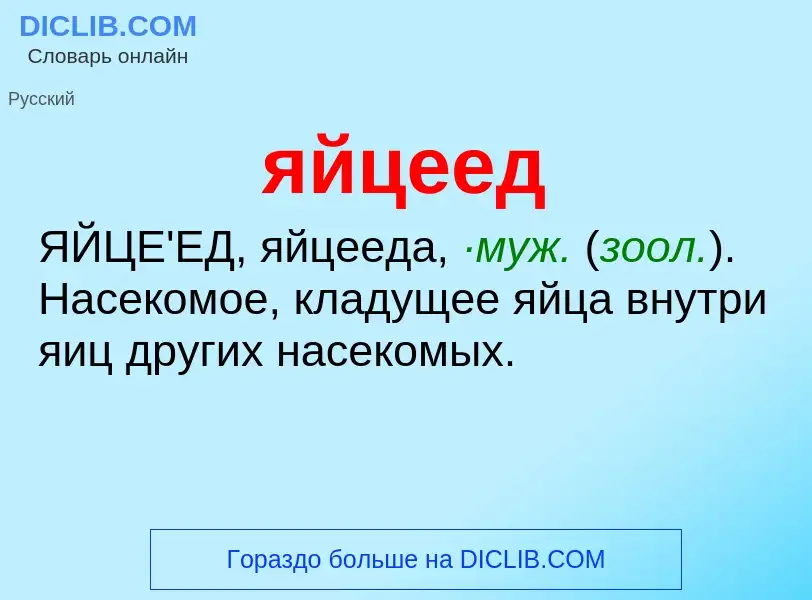 ¿Qué es яйцеед? - significado y definición