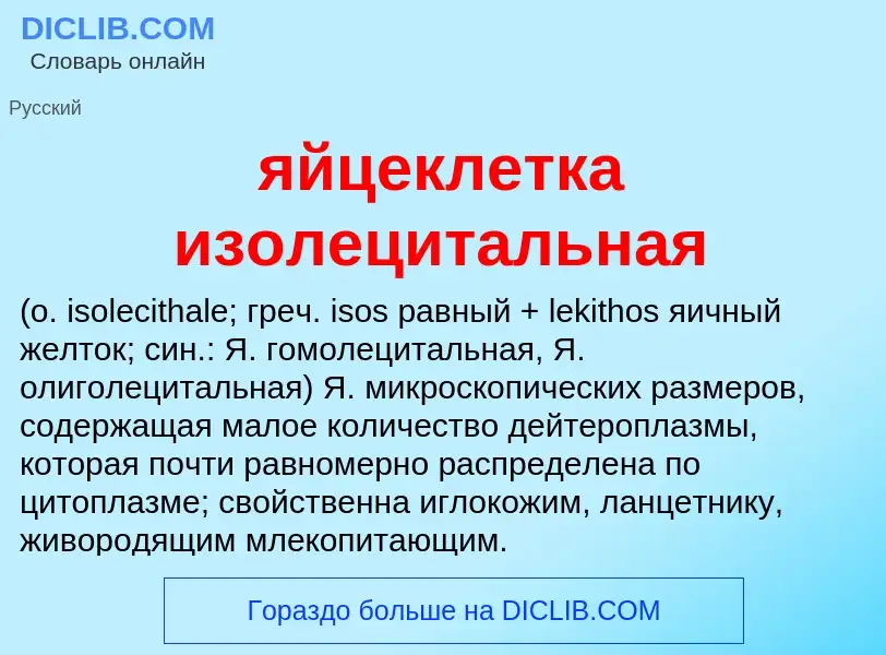 ¿Qué es яйцеклетка изолецитальная ? - significado y definición