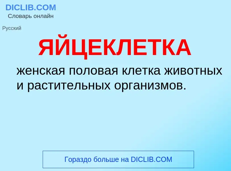 Was ist ЯЙЦЕКЛЕТКА - Definition