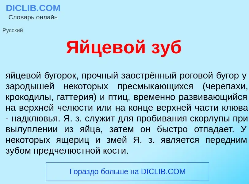 Что такое Яйцев<font color="red">о</font>й зуб - определение