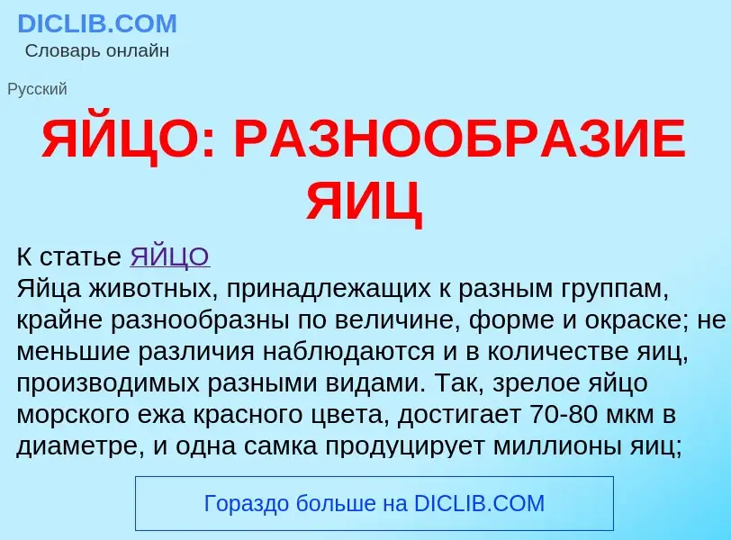 Что такое ЯЙЦО: РАЗНООБРАЗИЕ ЯИЦ - определение