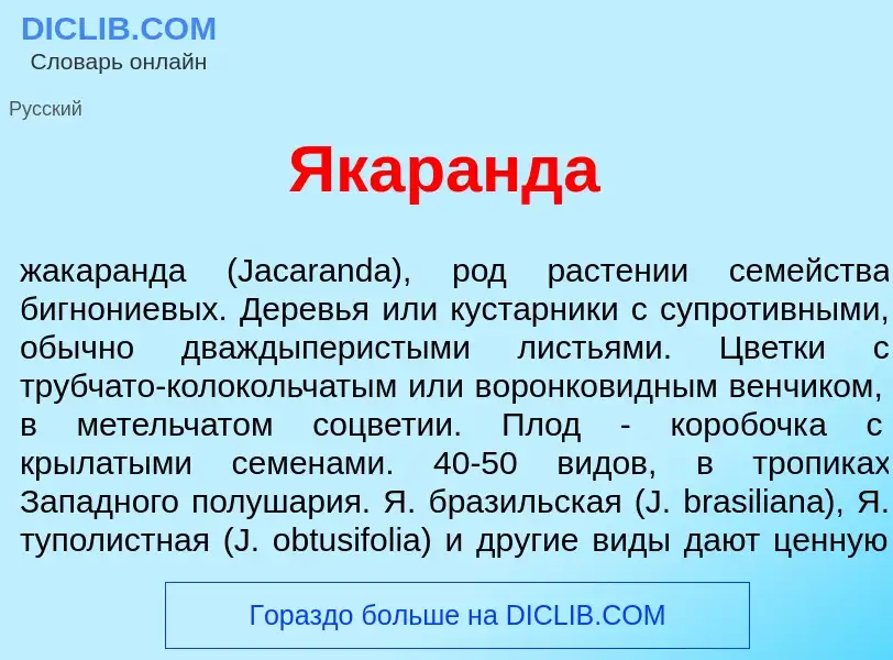 Что такое Якар<font color="red">а</font>нда - определение