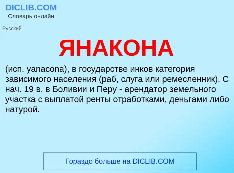 What is ЯНАКОНА - definition