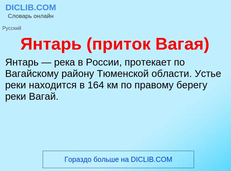 Τι είναι Янтарь (приток Вагая) - ορισμός