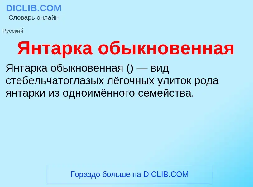 Τι είναι Янтарка обыкновенная - ορισμός