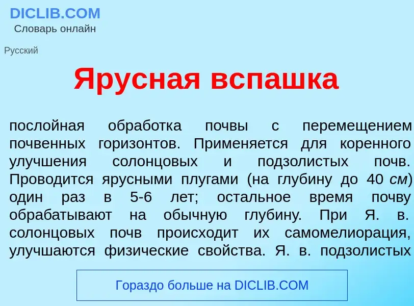 O que é <font color="red">Я</font>русная всп<font color="red">а</font>шка - definição, significado, 