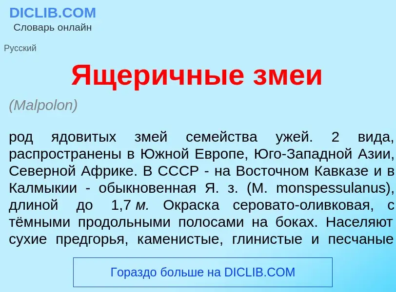 Что такое <font color="red">Я</font>щеричные зм<font color="red">е</font>и - определение