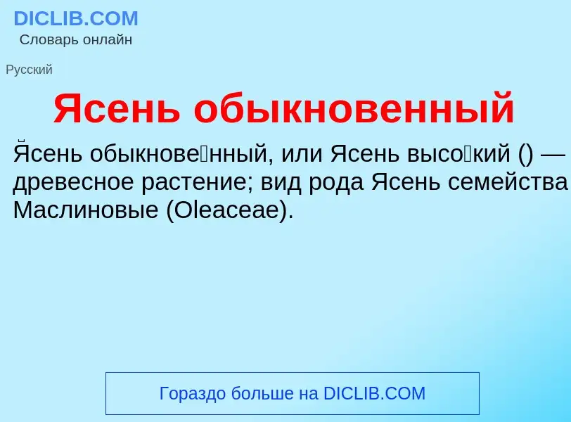 Τι είναι Ясень обыкновенный - ορισμός