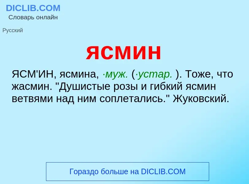 Was ist ясмин - Definition