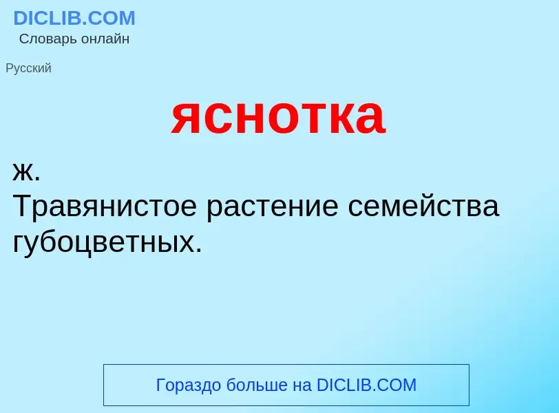 What is яснотка - definition