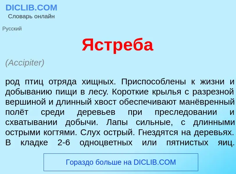 O que é Ястреб<font color="red">а</font> - definição, significado, conceito