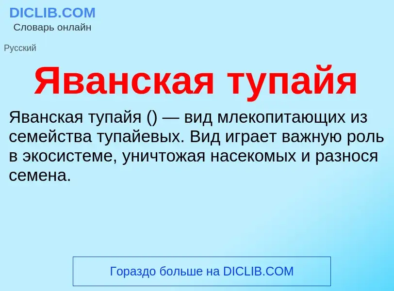 ¿Qué es Яванская тупайя? - significado y definición