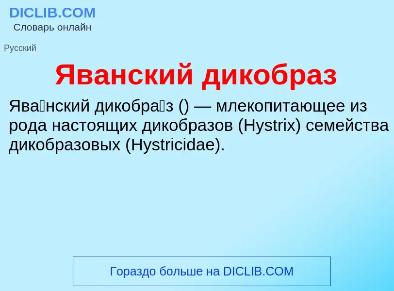 O que é Яванский дикобраз - definição, significado, conceito