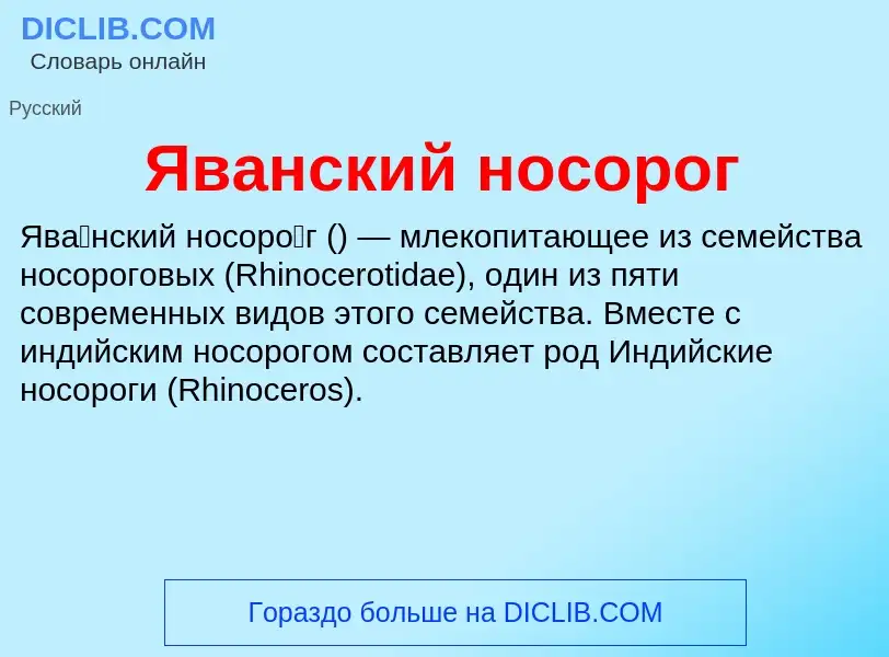 Что такое Яванский носорог - определение