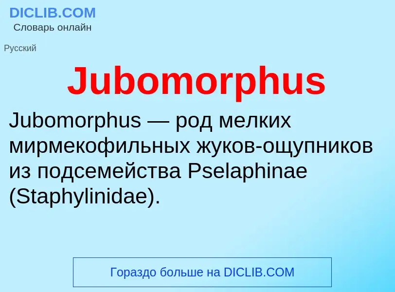 ¿Qué es Jubomorphus? - significado y definición