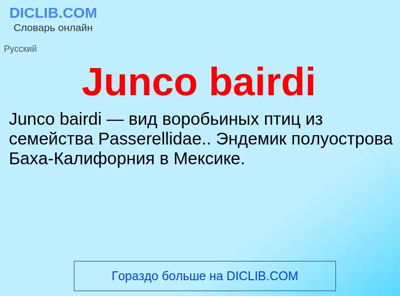 Что такое Junco bairdi - определение