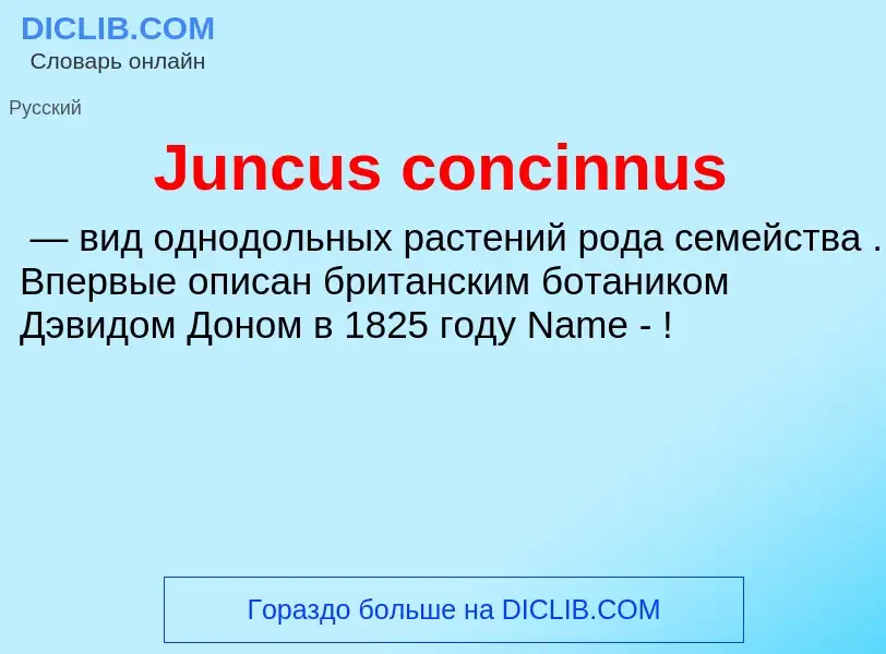 Was ist Juncus concinnus - Definition