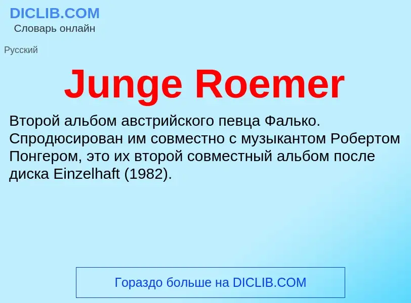 Что такое Junge Roemer - определение