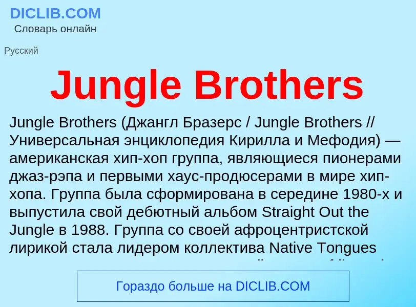 What is Jungle Brothers - meaning and definition