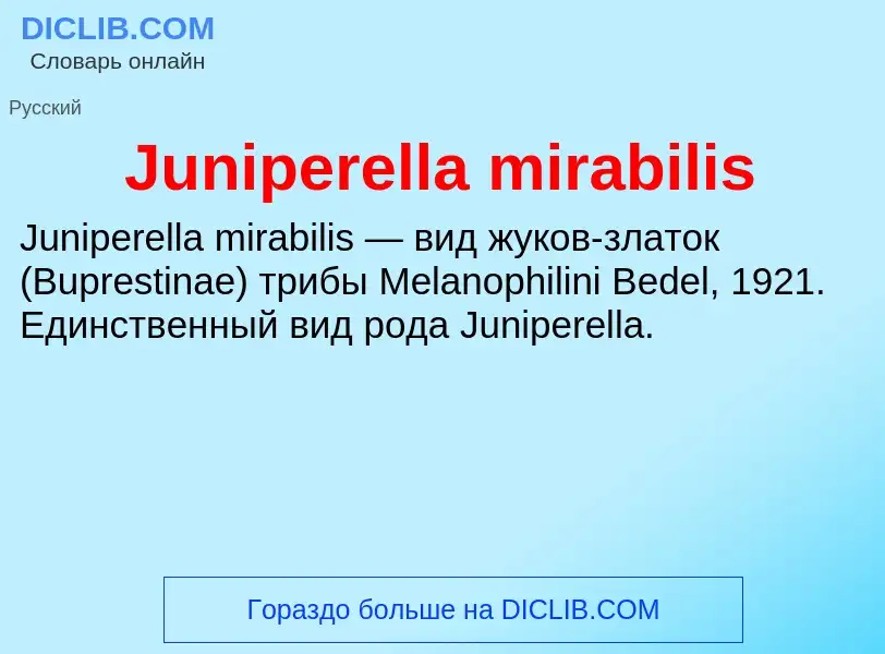 Что такое Juniperella mirabilis - определение