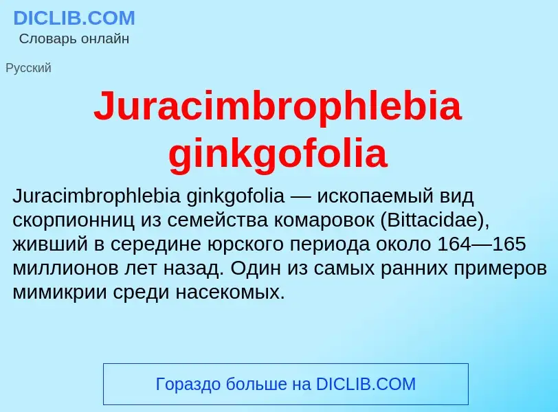 What is Juracimbrophlebia ginkgofolia - meaning and definition