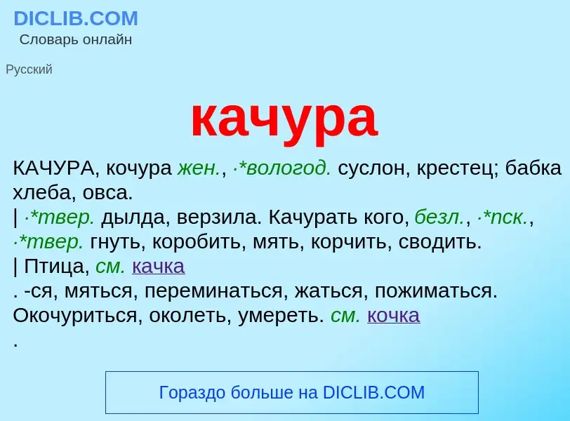 What is качура - meaning and definition