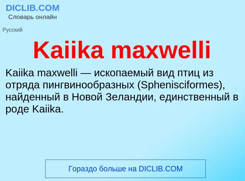 Что такое Kaiika maxwelli - определение