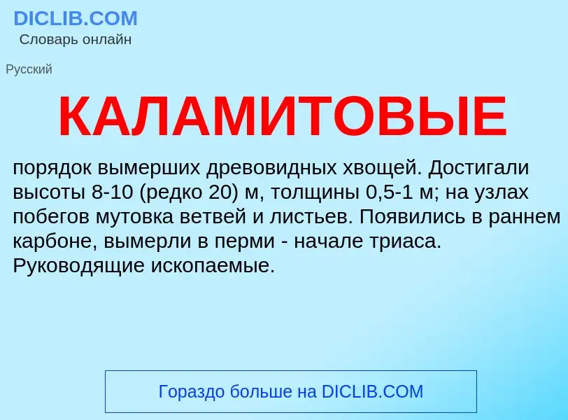O que é КАЛАМИТОВЫЕ - definição, significado, conceito